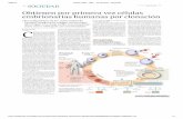 ABC - UCM-Universidad Complutense de Madrid DOLLIY1.pdf · firieron núcleos de células de piel hu- mana en el citoplasma de óvulos humanos, que generó blastocistos que ... formas