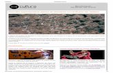 Descubre espectaculares rastros de dinosaurio con …clubculturaasturias.com/uploads/documentos/...El Museo del Jurásico de Asturias te invita a descubrir cómo era Asturias en la