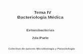 Tema IV Bacteriología Médica - uvsfajardo.sld.cuuvsfajardo.sld.cu/sites/.../files/iii_enterobacterias-_2da_parte.pdf · Yersinia pseudotuberculosis Agente causal de la Adenitis