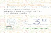 R. MATEMATICO profesorado I - Junta de Andalucía Consejería de Educación | Agencia Andaluza de Evaluación Educativa DISTRIBUCIÓN INSTRUMENTO ACTIVIDAD DESTREZA BLOQUE DE CONTENIDO