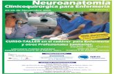 Neuroanatomía Clínicoquirúrgica para Enfermeríasanidadprivada.publicacionmedica.com/contenido/images/curso... · Cirugía raquimedular. Instrumentación quirúrgica para enf ermería.