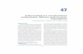 47 - Neumosur micobacterias.pdf · Broncoscopios: debe evitarse el ... estos aparatos así como en los procedimien-tos de limpieza manual. ... y epidemiológicos y que son más útiles