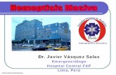 Dr. Javier Vásquez Salas - reeme.arizona.edu Masiva.pdf · Aumento calibre de vasos 83 Irregularidad de vasos 72 Shunt AB ... Reduce edema en vasos sangrantes: ... grandes vasos
