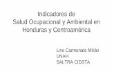 Indicadores de Salud Ocupacional y Ambiental en ... - ASOHMETasohmet.com/Descargas/Dr. Lino Carmenate Indicadores SOA.pdf · Taller Grupo de Trabajo ISOA Granada, julio 2013 Taller