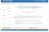 'Citogenética y biología de la reproducción en ...digital.bl.fcen.uba.ar/download/tesis/tesis_n5301_Rossi.pdf · de los cuatro principales clados supraordinales de Eutheria. ...