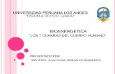 UNIVERSIDAD PERUANA LOS ANDES “ESCUELA DE POST …libroesoterico.com/biblioteca/Chakras Reiki y Sanacion/Chackras/Mas... · así como entorno a los estímulos y placeres ... UN