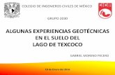 ALGUNAS EXPERIENCIAS GEOTÉCNICAS EN EL SUELO …cicm.org.mx/wp-content/files_mf/algunasexperiencias.pdf · EN EL SUELO DEL LAGO DE TEXCOCO GABRIEL MORENO PECERO COLEGIO DE INGENIEROS