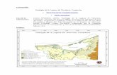 Cartografía: Geológia de la Laguna de Términos, Campeche ... · Cartografía: Uso del suelo y vegetación de la Laguna de Términos derivado del Inventario Forestal Nacional 2000.