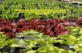 BBOOLLEETTÍÍNN DDEELL …68).pdf · excesos de humedad y sus implicaciones fitosanitarias y sobre la calidad de producto, y el hecho de que este sistema de riego ... Existen cuadros