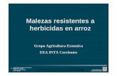 Malezas resistentes aMalezas resistentes a herbicidas en ... · - Falta de rotación de herbicidas: aplicación continua del mismo herbicida o de herbicidas diferentes pero con mismo