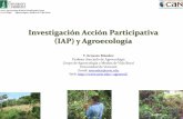 Investigación Acción Participativa (IAP) y Agroecología · Investigación participativa y de sistemas de finca ... GAM-Grupo Agroecología y Medios de Vida Rural Reflexion Accion