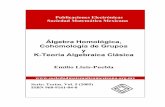 Álgebra Homológica, Cohomología de Grupos y K-Teoría ...pesmm.org.mx/Serie Textos_archivos/T5.pdf · El Algebra Homol´ogica es una de las principales creaciones de la ... (omitiendo