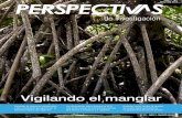 Vigilando el manglar - PERSPECTIVAS de Investigación · (1946) y El éxodo de Yangana (1949), de Ángel F. Rojas ... El equipo de la UTPL trabaja en áreas sugeridas por la Subsecretaría