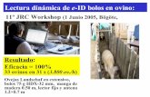 Lectura dinámica de e-ID bolos en ovino · Estrategias para ID de ovino y caprino en España Approved tag MID (corderos & ovejas) CID (reproductores> 6 m) CID (corderos cebo) e-ID
