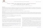 Primer registro de anidación de Carao (Aramus guarauna · 2017-08-08 · Primer registro de anidación de Aramus guarauna en Nayarit hay mayor abundancia del carao en humedales de