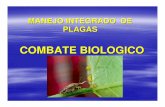 MANEJO INTEGRADO DE PLAGAS-08 - umanitoba.caeda-08.pdf · MANEJO INTEGRADO DE PLAGAS COMBATE BIOLOGICO. Objetivo: reducir la población de las plagas y enfermedades a niveles que