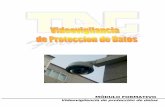 Videovigilancia de proteccion de datos - Tag Ediciones ...tagediciones.es/capitulos/Formacion_complementaria/Videovigilancia... · Videovigilancia de protección de datos 2 5. Supuestos