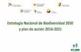 Estrategia - MAE Transparente!maetransparente.ambiente.gob.ec/documentacion/Biodiversidad/... · Articulación de la Estrategia Biodiversidad 2030 Gaenvivir PLAN NACIONAL 2013-2017