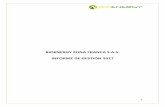 BIOENERGY ZONA FRANCA S.A.S. INFORME DE GESTIÓN 2017 Gestion Bioenergy Zona... · de la operación comercial, ... Cierre y liquidación del contrato de construcción del ... oferta
