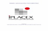 RAMO: EDUCACIÓN PSICOMOTRIZ - biblioteca.iplacex.clbiblioteca.iplacex.cl/MED/Educación psicomotriz.pdf · Instituto Profesional Iplacex 3 c) Constructivista: esta posición se desarrolla