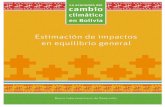 Estimación de impactos en equilibrio general · 1 La economía del cambio climático en Bolivia Estimación de impactos en equilibrio general 1. Introducción En el marco del proyecto