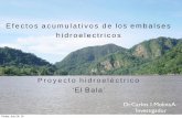 Efectos acumulativos de los embalses hidroelectricos · •Alteraciones en las condiciones fisico-químicas del agua (calidad de agua). Acumulaciones de sedimentos y metales pesados