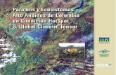 Páramos y Ecosistemas en Condición HotSpotdocumentacion.ideam.gov.co/openbiblio/bvirtual/000689/Introduccion.pdf · Sabana de Bogotá Fotografías Páramo de Guerrero ... 1.1.1