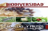 BIODIVERSIDAD - bosques.org.ar · La selección de las especies está relacionada con aquellas plantas nativas que existen actualmente en ... siete capote, tarumá, timbó y yaboticaba.
