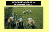 GEOGRAFÍA AGRARIA (1ª parte del Tema 1) - RUA: Principalrua.ua.es/dspace/bitstream/10045/17573/6/GEOGRAFIA AGRARIA.pdf · explotación agraria El policultivo se da sobre todo en