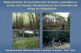 Desarrollo de los bosques de lenga después de la corta de ...jornadasforestales2013.unpa.edu.ar/sites/jornadasforestales2013... · Mejoramiento de la producción forestal y ganadera