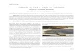 Desarrollo de Cara y Cuello en Vertebrados · Los vertebrados más primitivos como los mixinoideos (mixina) y los pretomizóntidos (lampreas) son agnatos (Fig. 3), es decir no poseen