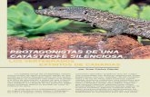 PROTAGONISTAS DE UNA CATÁSTROFE SILENCIOSA · (Boidae)3. Los lagartos gigantes (género Gallotia) En las islas de El Hierro, La Palma, La Gomera y Tenerife vivie-ron lagartos de
