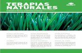TERAPIAS NATURALES - ismet.esismet.es/docs/catalogo web_cast_2015_naturales.pdf · Radiónica, radiestesia y geobiología 6,4 créditos ... Estímulos naturales de Salud: Geoterapia