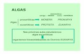 transp euglenophyta22 (1) [Modo de Compatibilidade] · codificada no: genoma do cloroplasto genoma nuclear Membrana do tilacóide (planta): lumem do tilacóide estroma A. Eucarioto
