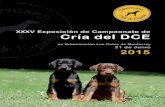 Dobermann Club de España · 2015 xxxv exposiciÓn de campeonato de crÍa del dobermann club de espaÑa. ... 104 hercules de aironcan l.o.e.: 2233298 chip.: 941000016874476 fecha