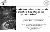 Tratamiento miniinvasivo de los quistes hepáticos no ... · Tratamiento miniinvasivo de los quistes hepáticos no parasitarios Objetivos Describir cuales son las opciones de tratamiento