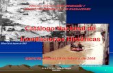 Catálogo Nacional de Inundaciones Históricas · D. G. P. C. y E. Área de Riesgos Naturales. 1 Catálogo Nacional de Inundaciones Históricas DGPCYE, Madrid 19 de febrero de 2008