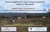 Gasto energético de vacas lecheras en pastizal nativo en ...eulacias.org/wp-content/uploads/2013/05/annex_d_05_gasto_energetic... · Gasto energético de vacas lecheras en pastizal