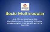 Bocio Multinodular · Difuso Nodular Uninodular Multinodular J Endocrinol Invest DOI 10.1007/s40618-015-0391-7. ... estructuras adyacentes vitales tanto del sistema circulatorio