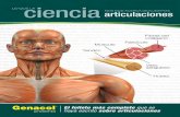 Índice de contenidos - genacol.com.uy · Rol del colágeno en el esqueleto. . . . .12 . Los tendones actúan como ... El colágeno es a los tejidos del cuerpo humano lo que las barras