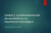 Unidad 2. La biotransformación de xenobióticos y su ... · planos, 1 o 2 aceptores de H. Anestésicos e insecticidas Metadona Ketamina Ciclofosfamida Metanfetamina Endosulfan Testosterona*