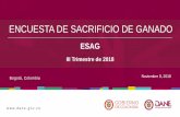 Presentación Encuesta de sacrificio de ganado (ESAG) III ... · Fuente: DANE, ESAG. Sacrificio de ganado por categorías según especies Total nacional III trimestre 2018P/2017 P