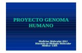 PROYECTO GENOMA HUMANO - jmordoh.com.ar · • TRANSCRIPTOMA HUMANO: análisis de las secuencias ... Proyecto Genoma Humano. Tabla 1. Tamaño comparativo de los genomas de diversas