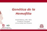 Genética de la Hemofilia - colhemofilicos.org.cocolhemofilicos.org.co/.../presentaciones/genetica+de+la+hemofilia.pdf · Hemofilia Heidi Mateus, MD, MSc Profesor Principal Universidad