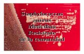 Staphylococcus aureus Meticilino Resistente de la comunidad · Staphylococcus aureus Meticilino Resistente de la comunidad ¿Por qué el alarma sanitaria?!Casos de sepsis rápidamente