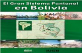 ROYECTO - Cebem – Centro Boliviano de Estudios ...cebem.org/cmsfiles/publicaciones/SistemaPantanalBolivia.pdf · del Pantanal en Bolivia, seguida de la presentación detallada y