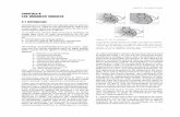 CAPITULO II LAS VARIABLES VISUALES - LatinGEOredgeomatica.rediris.es/carto2/pdf/pdfB/tema2b.pdf · Puesto que los grafismo de los que se sirve el diseñador para trasmitir información