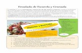 Ensalada de Escarola y Granada - dietistasynutricion.com · La escarola es rica en antioxidantes, vitamina B1, B2, B9, potasio y magnesio; Facilita el vaciamiento de la vesícula