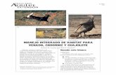 MANEJO INTEGRADO DE HABITAT PARA VENADO, …wildlife.tamu.edu/files/2013/11/Integrating-Deer-Quail-and-Trukey... · Independientemente del método que seleccione, es deseable que