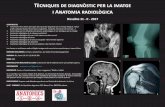 Tècniques de diagnòstic per la imatge i Anatomia radiològica RX 2017.pdf · • Anatomia radiològica de la cintura escapular i del membre superior • Anatomia radiològica del